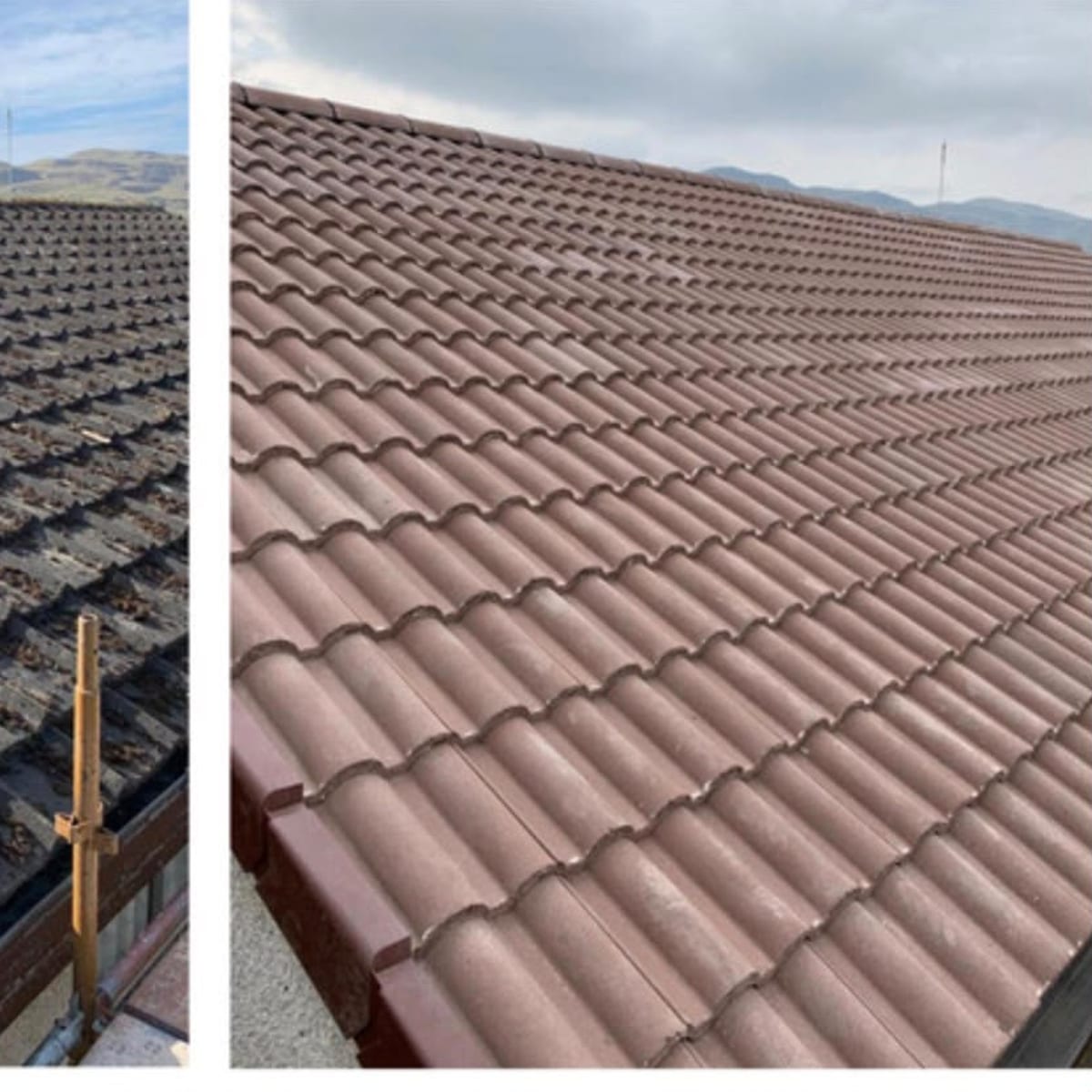 A roof cleaned and restored