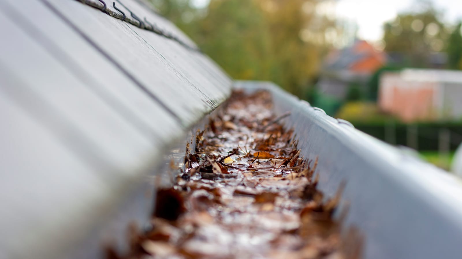 A gutter blocked with wet leaves along the edge of a roof